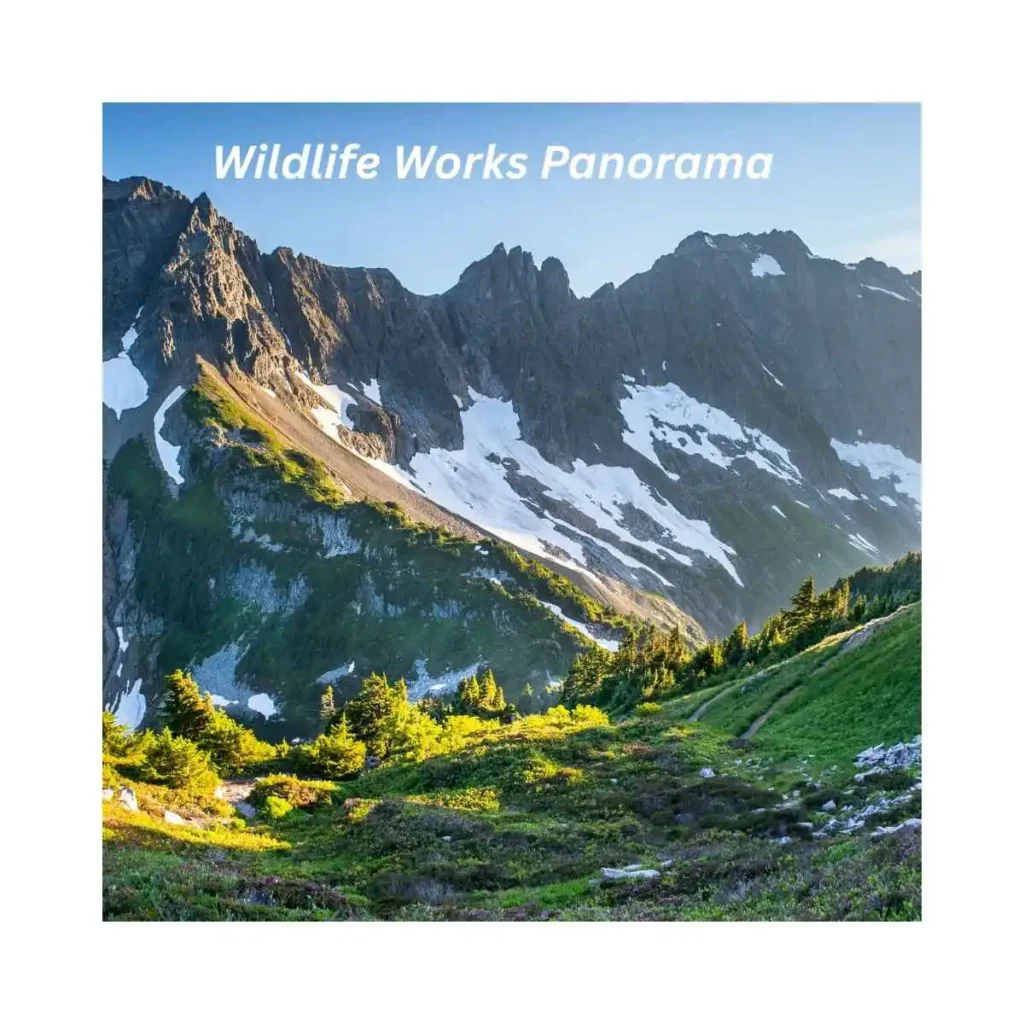wildlife-works-panorama