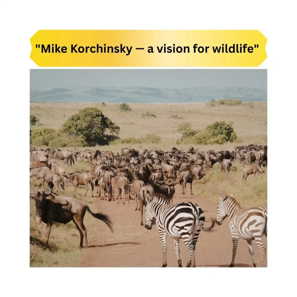 wildlife-works-panorama