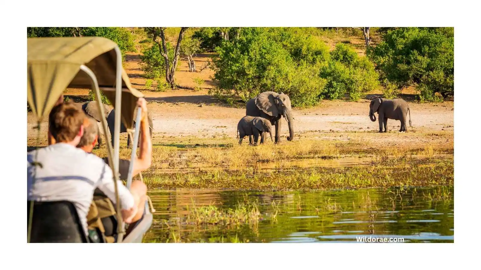 manyara-wildlife-safari-camp