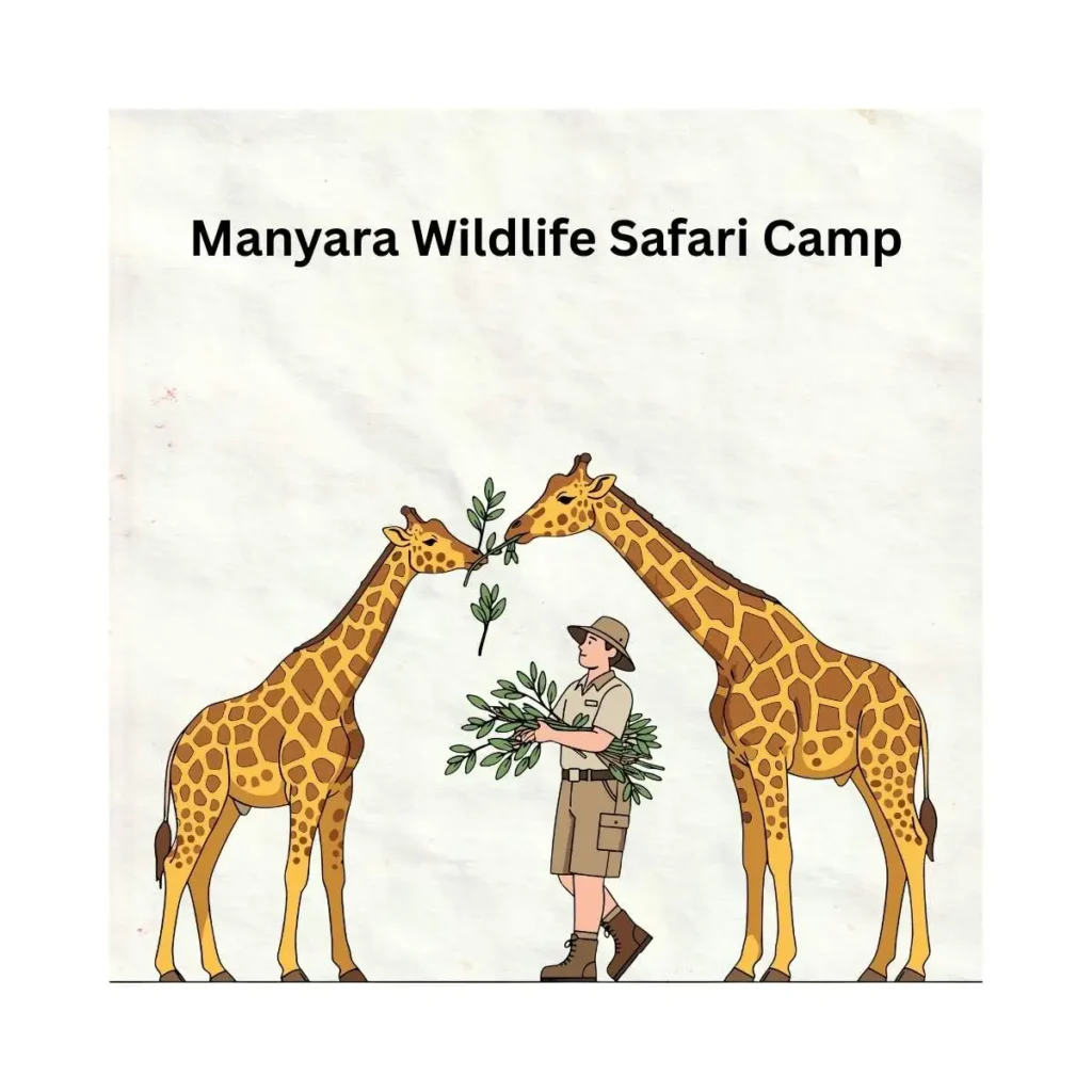 manyara-wildlife-safari-camp