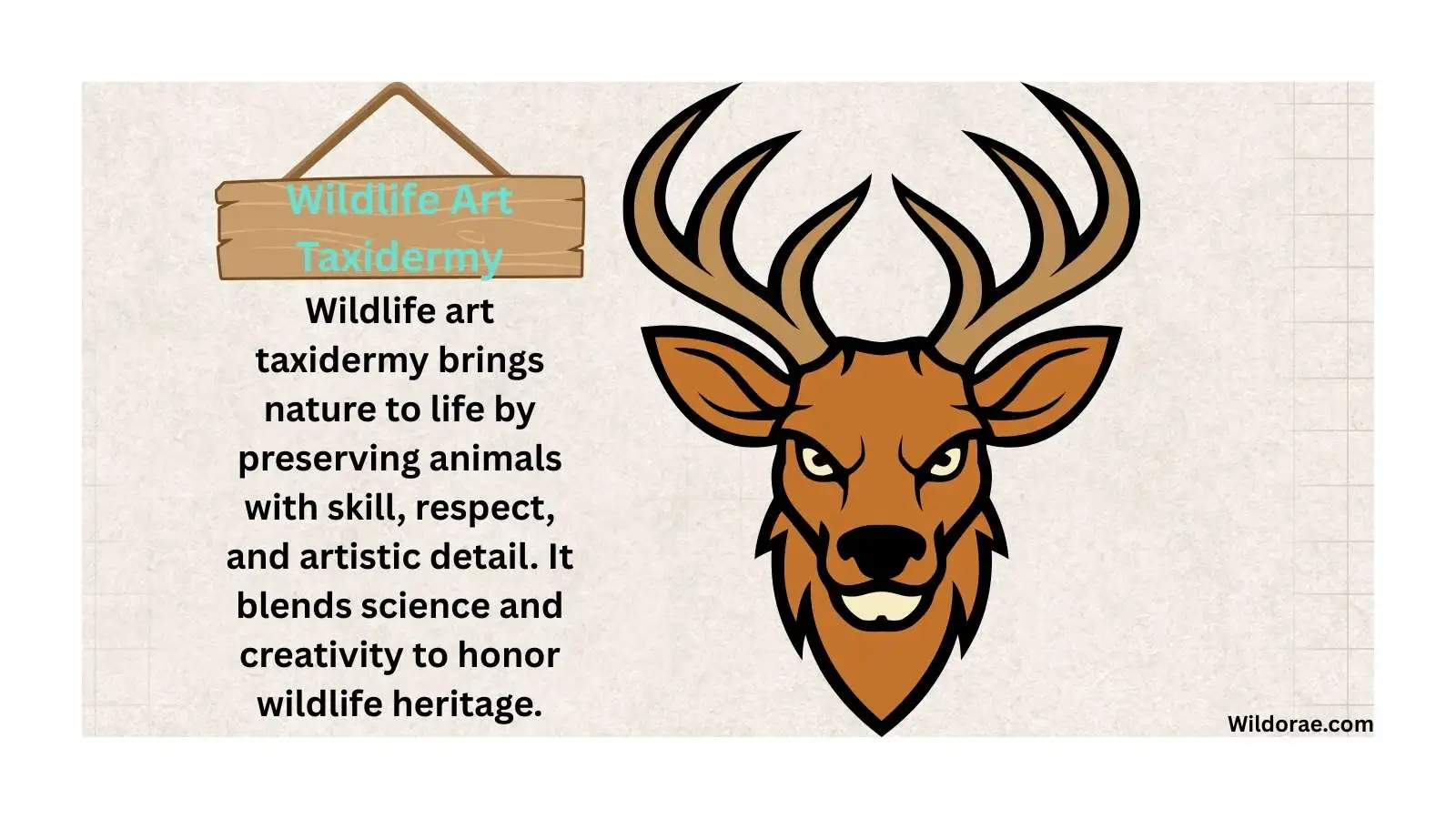 wildlife-art-taxidermy