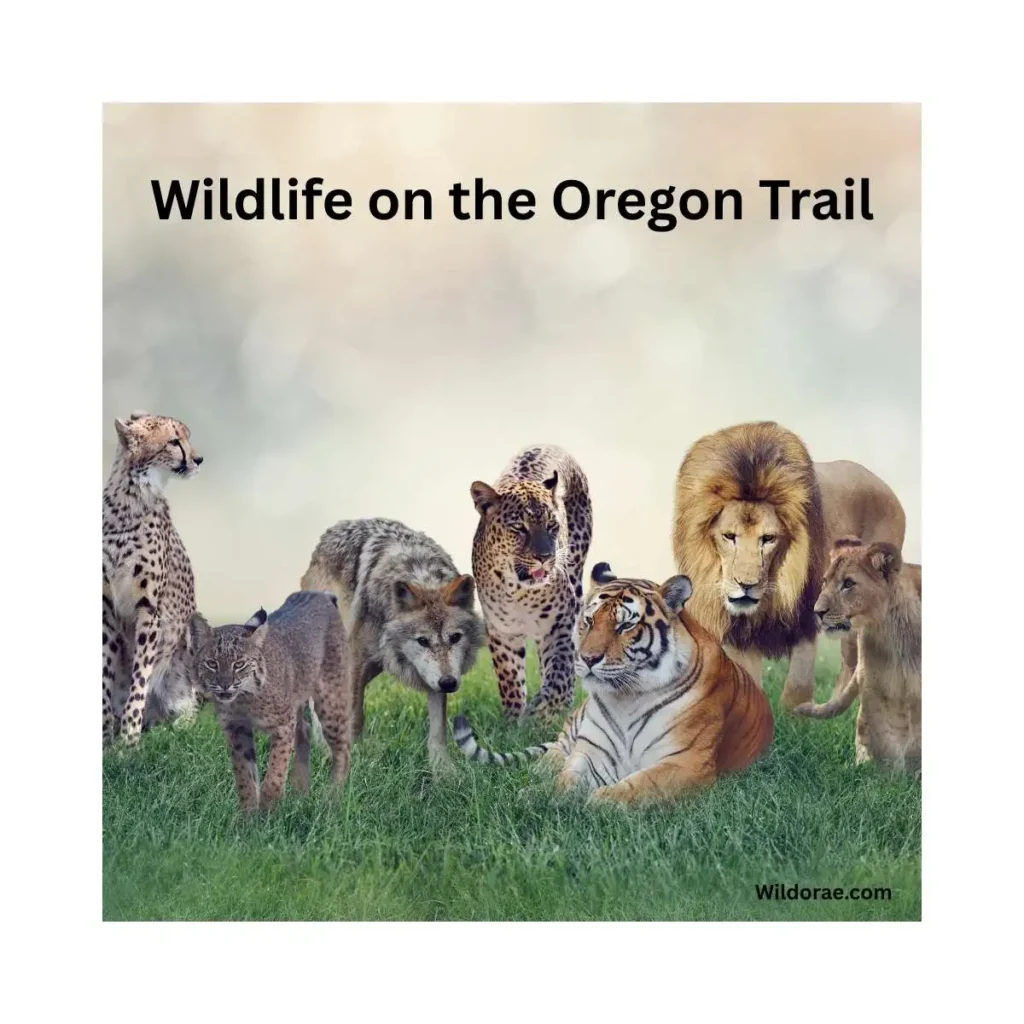 wildlife-on-the-oregon-trail