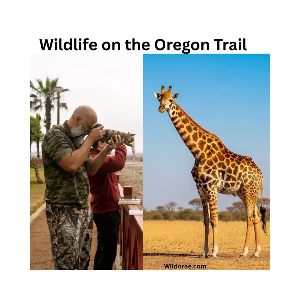 wildlife-on-the-oregon-trail
