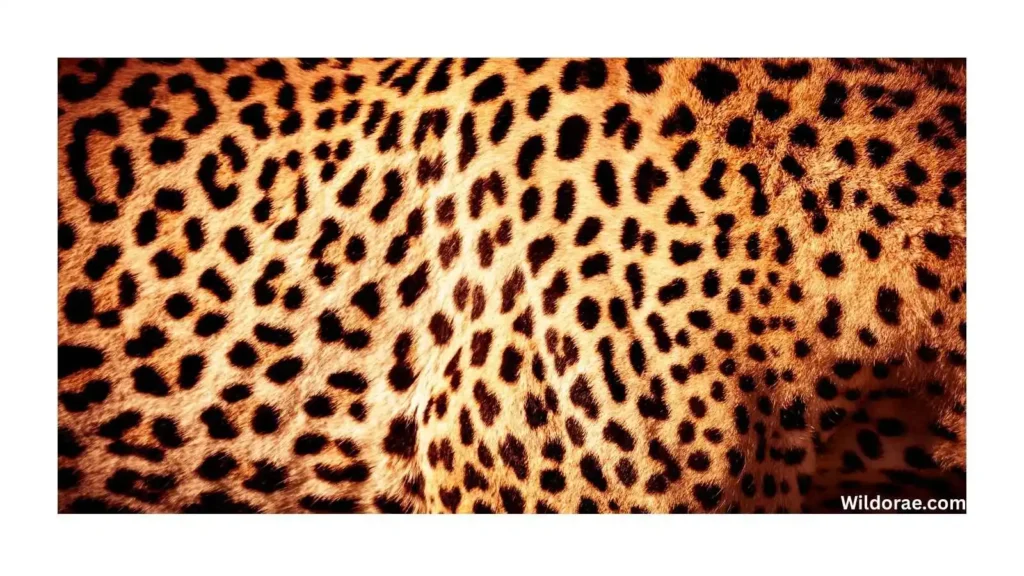 wildlife-fabric