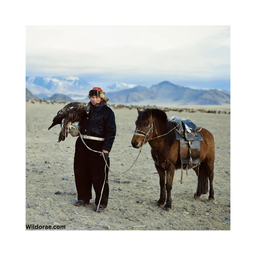 ranching-for-wildlife-colorado