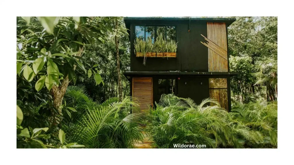 eco-friendly-wildlife-control-lake-county-fl
