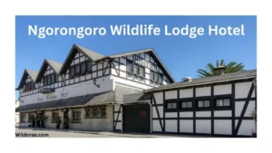 ngorongoro-wildlife-lodge-hotel