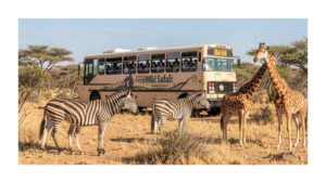 african-wild-safari-sandusky