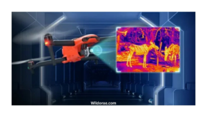 thermal-imager-wildlife-background