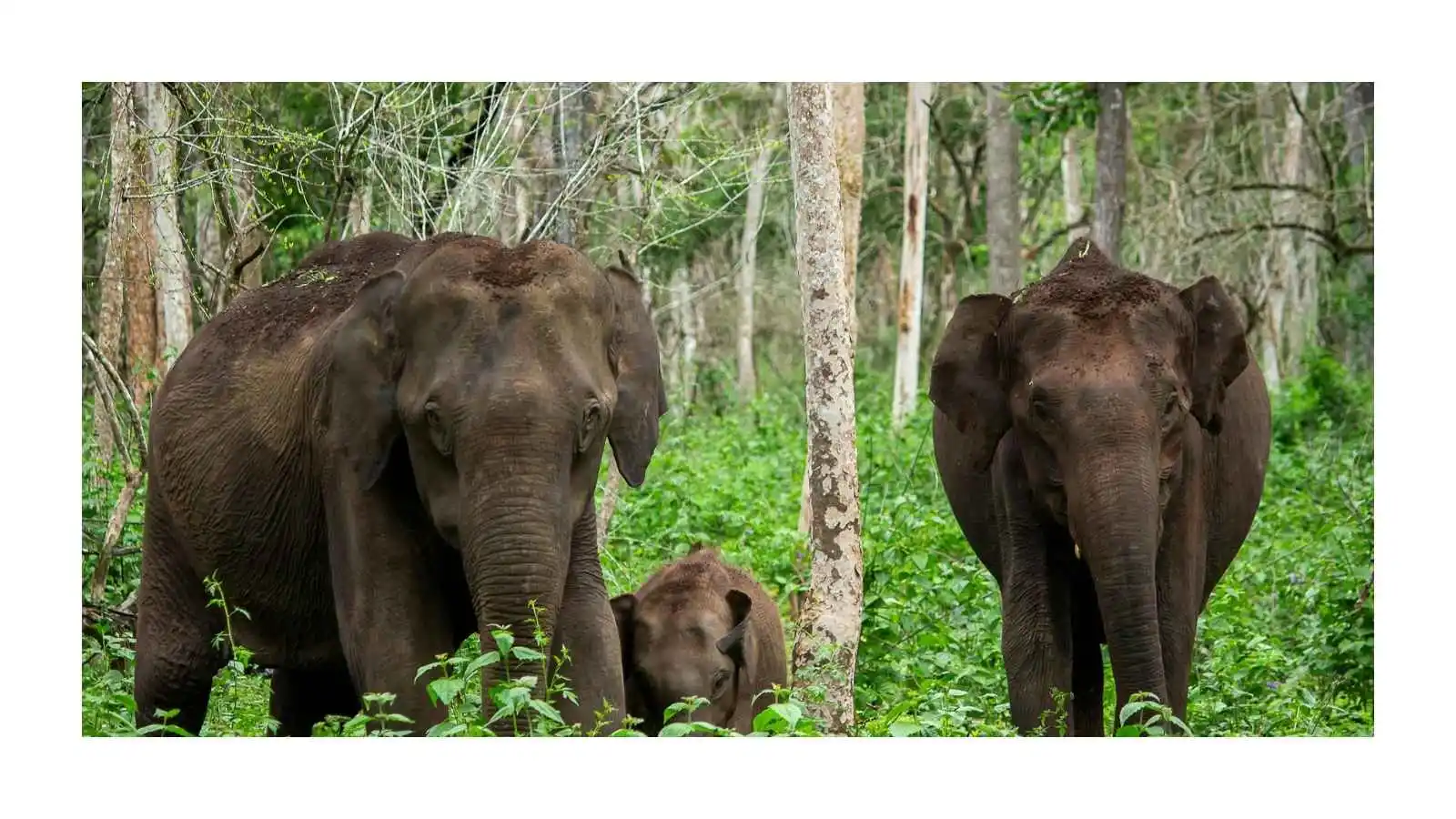 wilderness-wildlife-center-bulger-pa