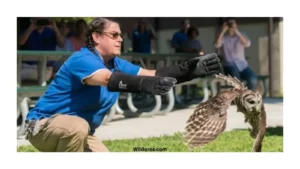 wildlife-rehab-rochester-ny