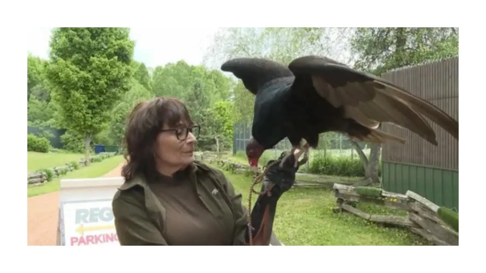 wildlife-rehabilitation-wisconsin