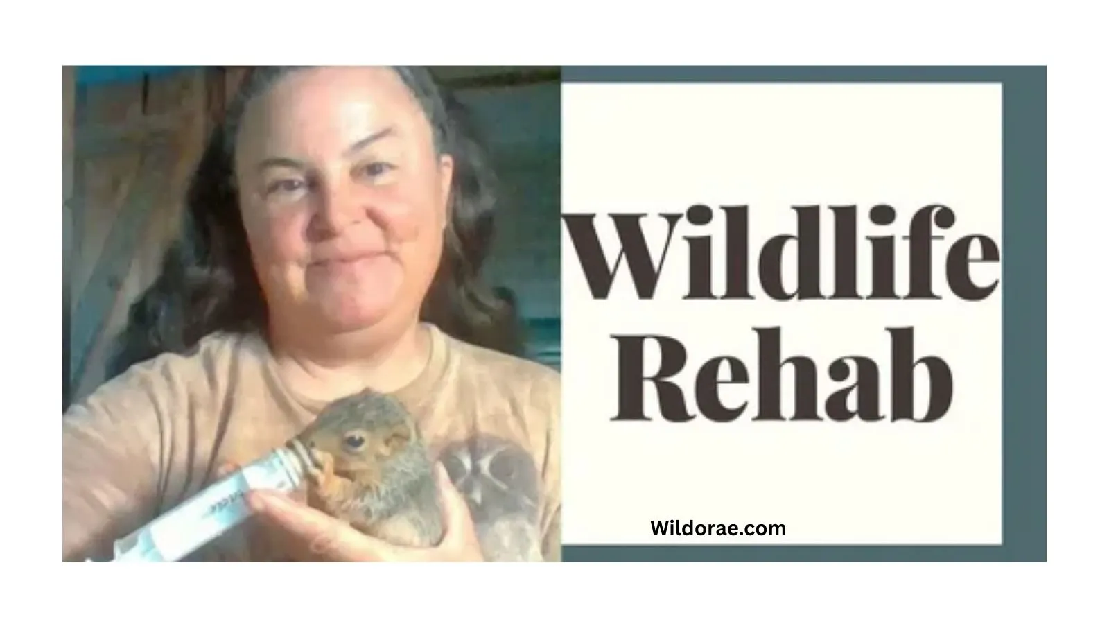 wildlife-rehabilitator-oklahoma